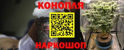 spice Ирбит