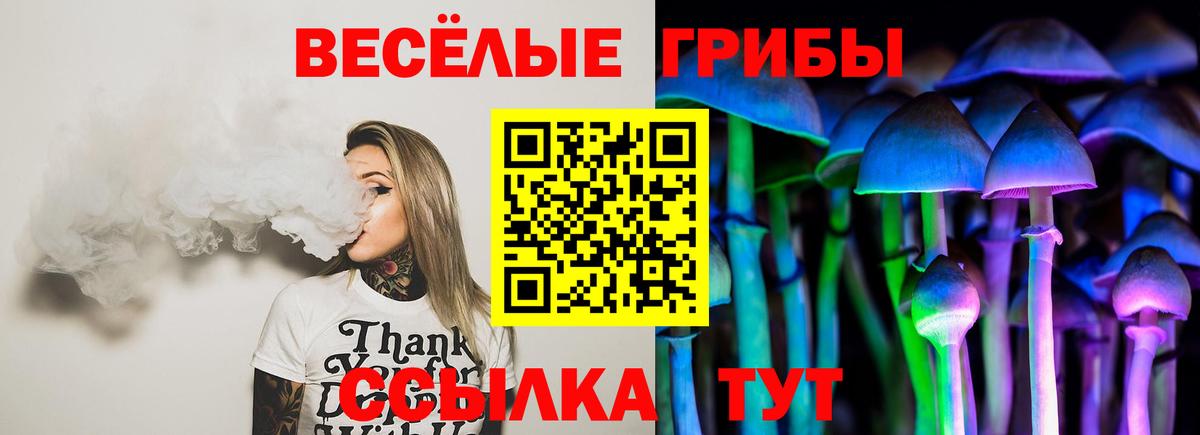 Лыткарино  Псилоцибиновые грибы мицелий  Вход с VPN 